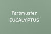 67 eucalyptus 