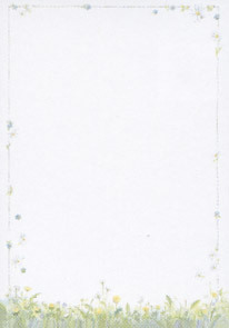 Rössler Designblatt A4 - Blumenwiese, 50 Stück