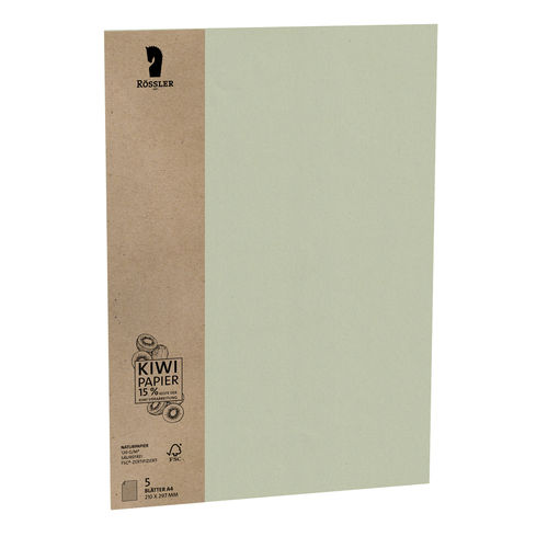 Rössler Papier - TERRA-PACKS Farbe:Terra Kiwi  - 50 A4 Bögen